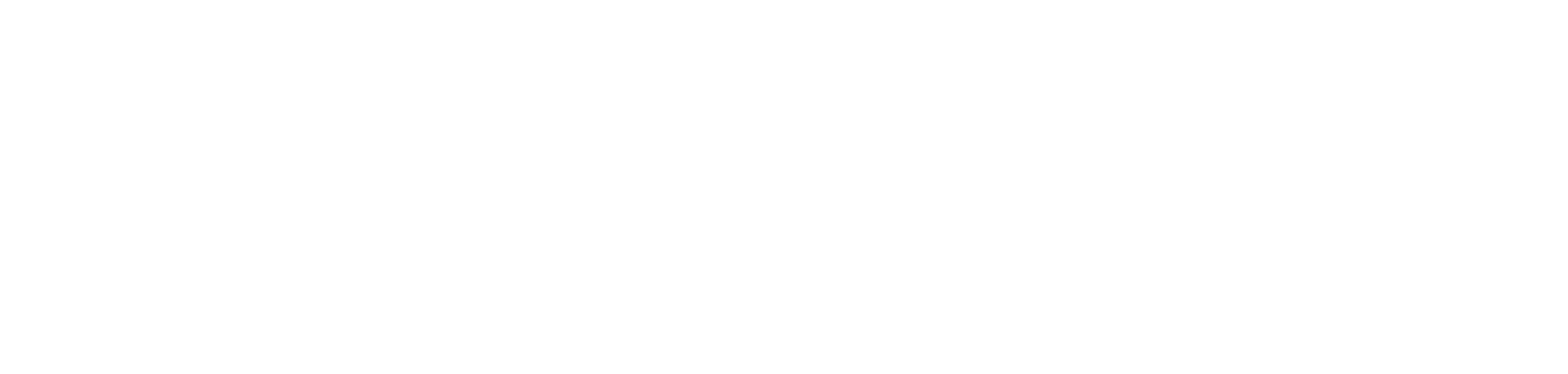 NHO_primaerlogo_RGB_negativ